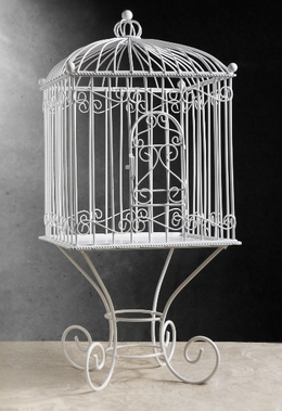 Where to rent WISHING WELL BIRD CAGE in Butte MT